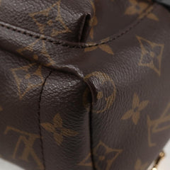Louis Vuitton Palm Springs mini