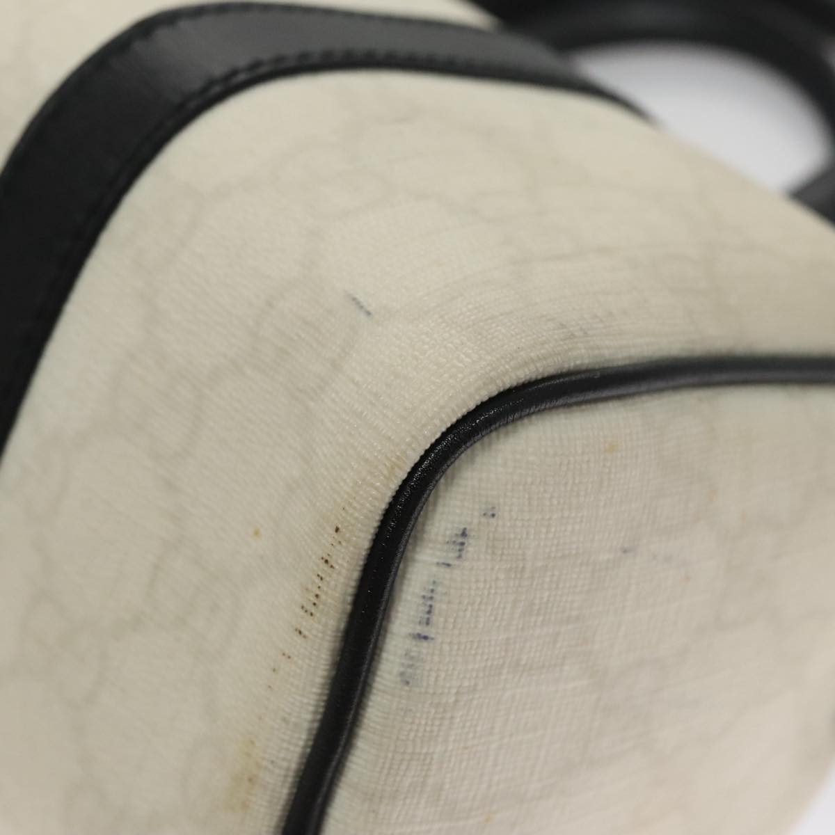 Gucci GG canvas