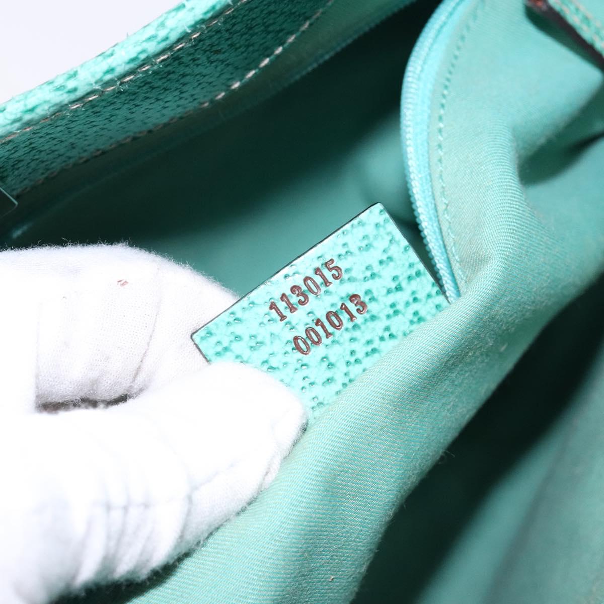 Gucci GG canvas