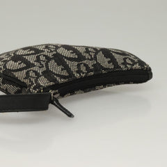 Dior Saddle