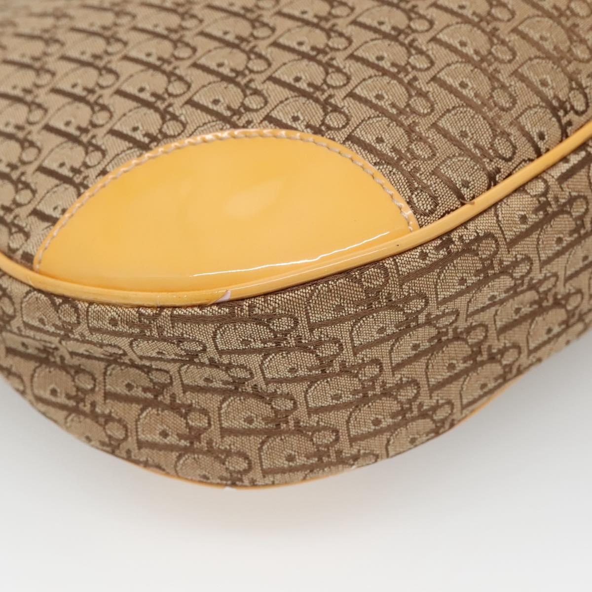 Dior Street Chic Hobo