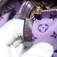 Louis Vuitton Cabas