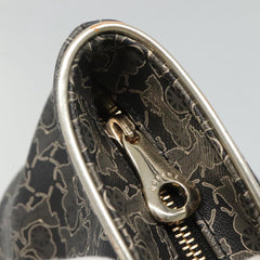 Céline Horse carriage