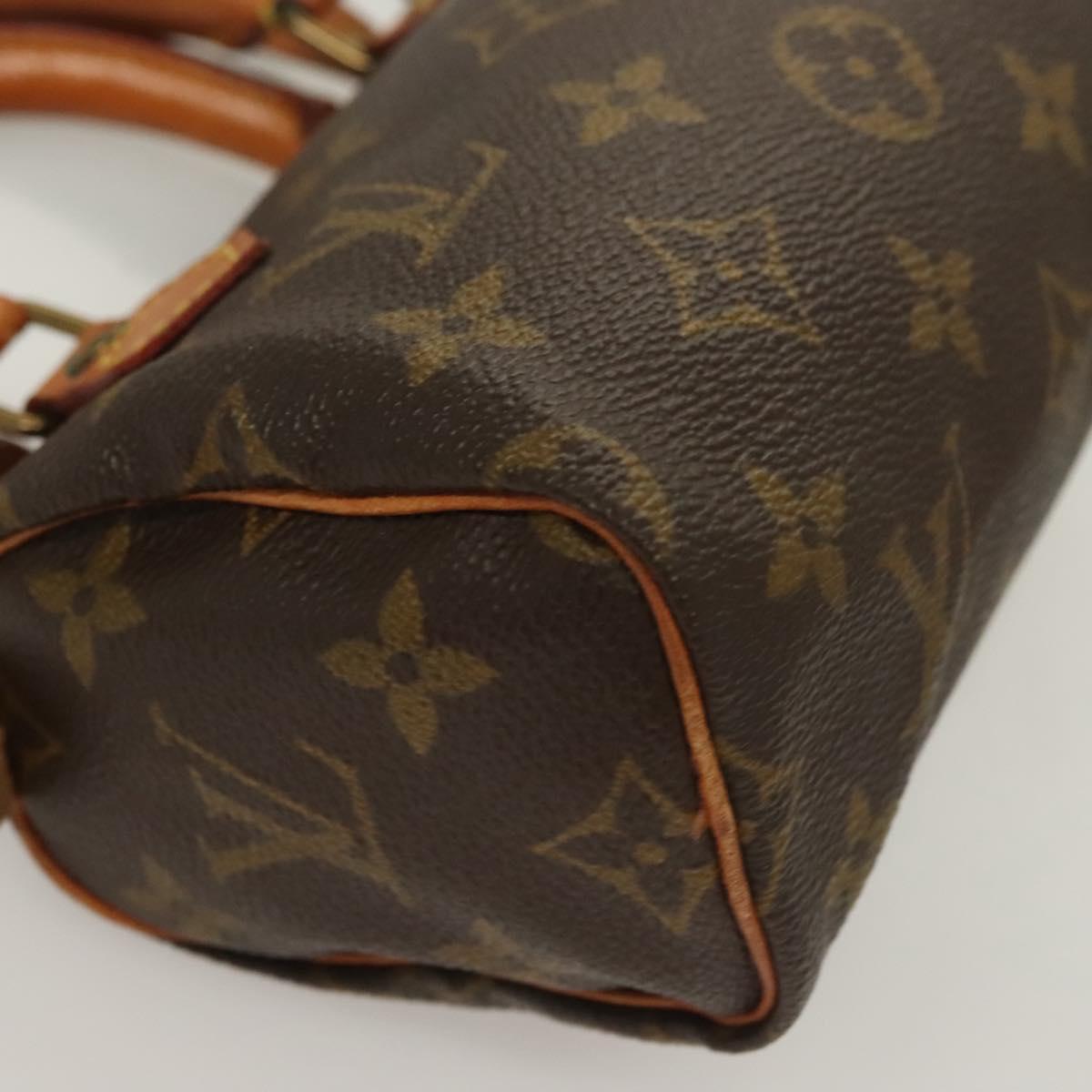 Louis Vuitton Mini speedy