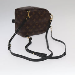 Louis Vuitton Palm Springs mini