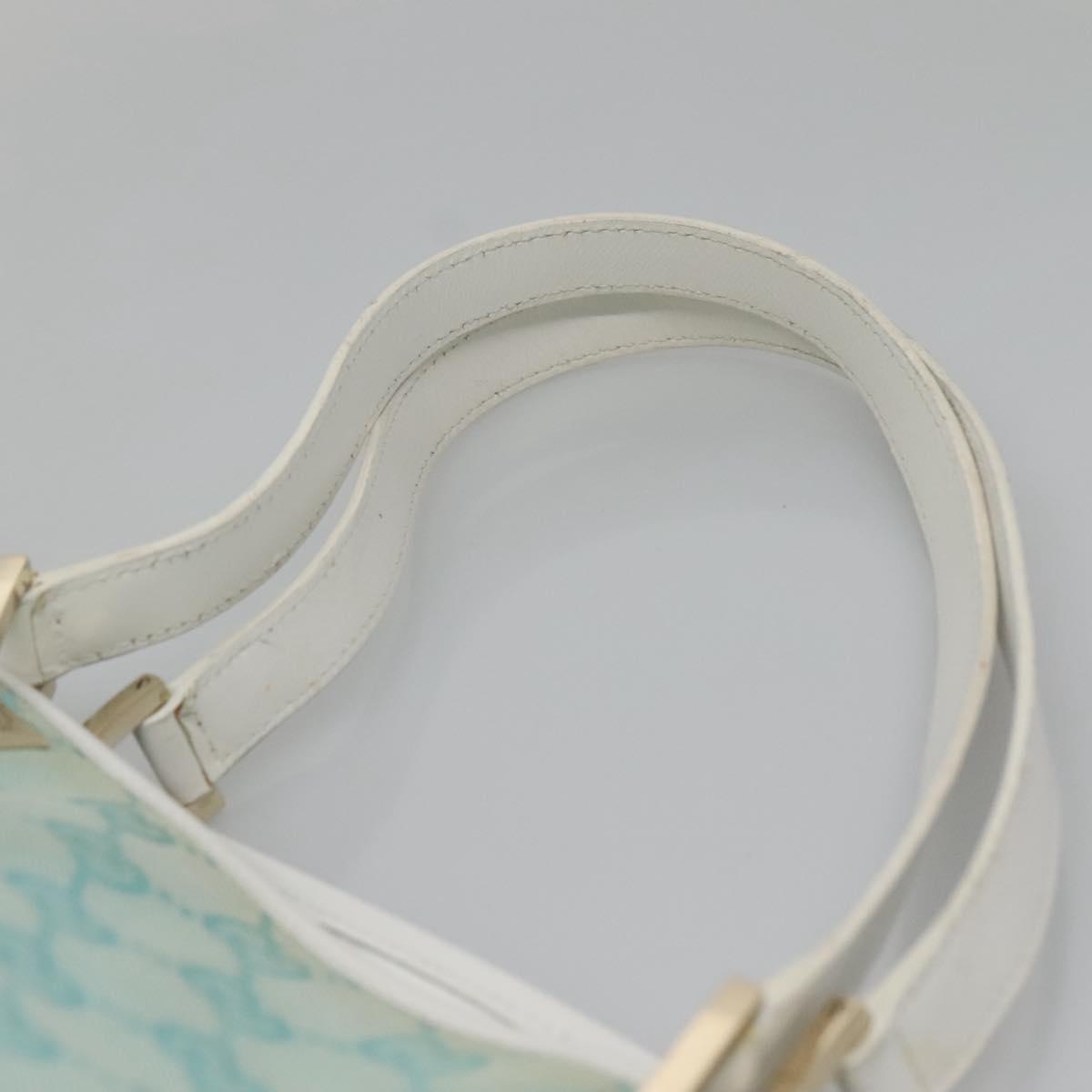 Gucci GG canvas