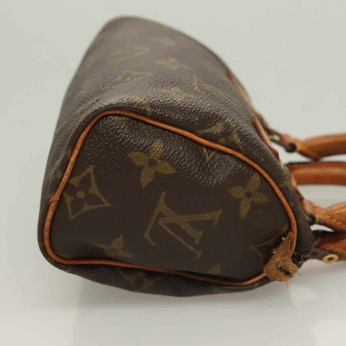 Louis Vuitton Mini speedy