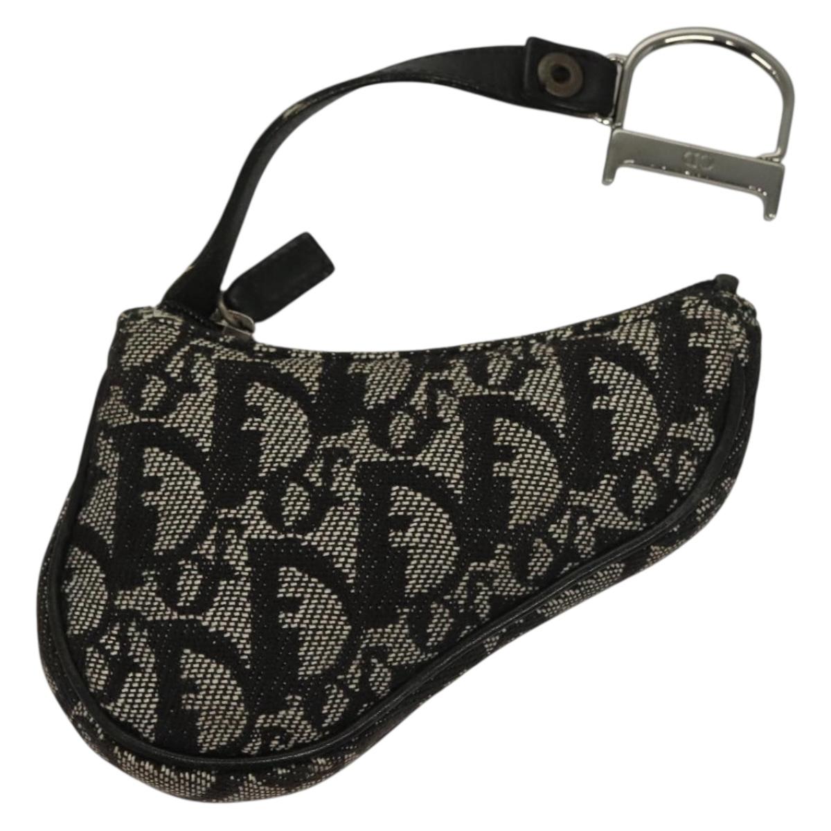 Dior Saddle