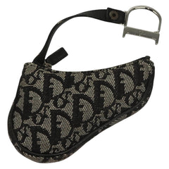 Dior Saddle