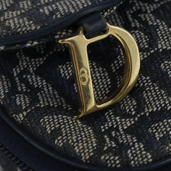 Dior Saddle