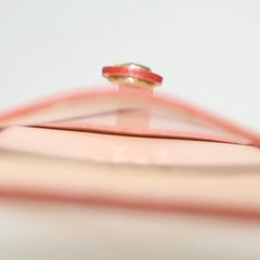 Louis Vuitton Porte photo