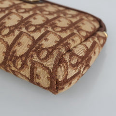 Dior Oblique
