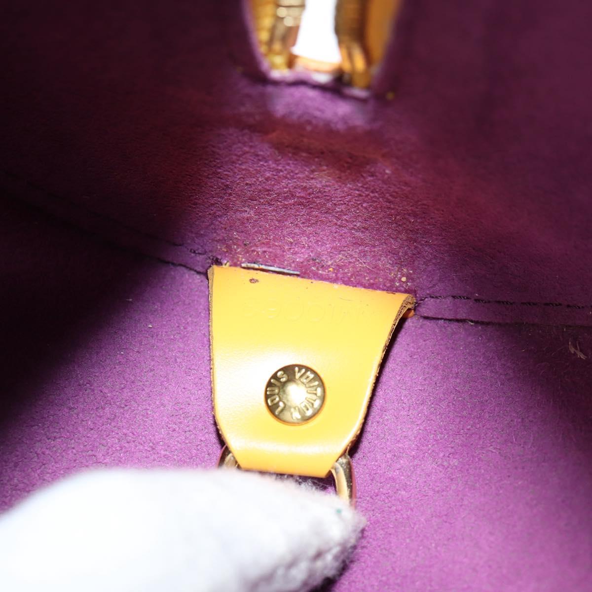 Louis Vuitton Papillon
