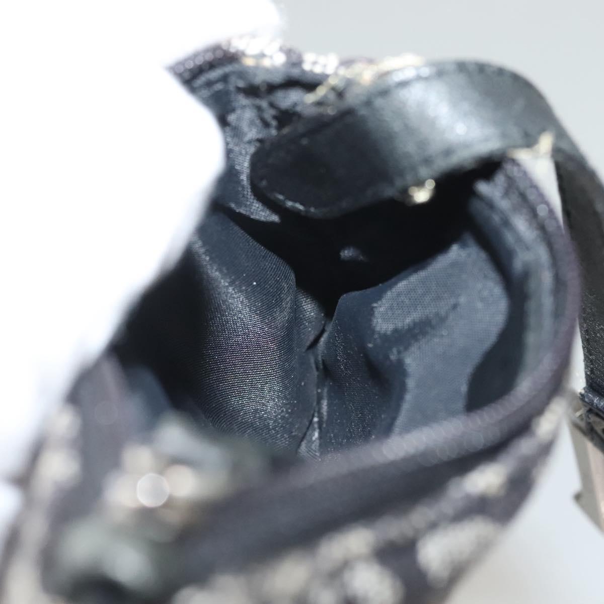 Dior Saddle