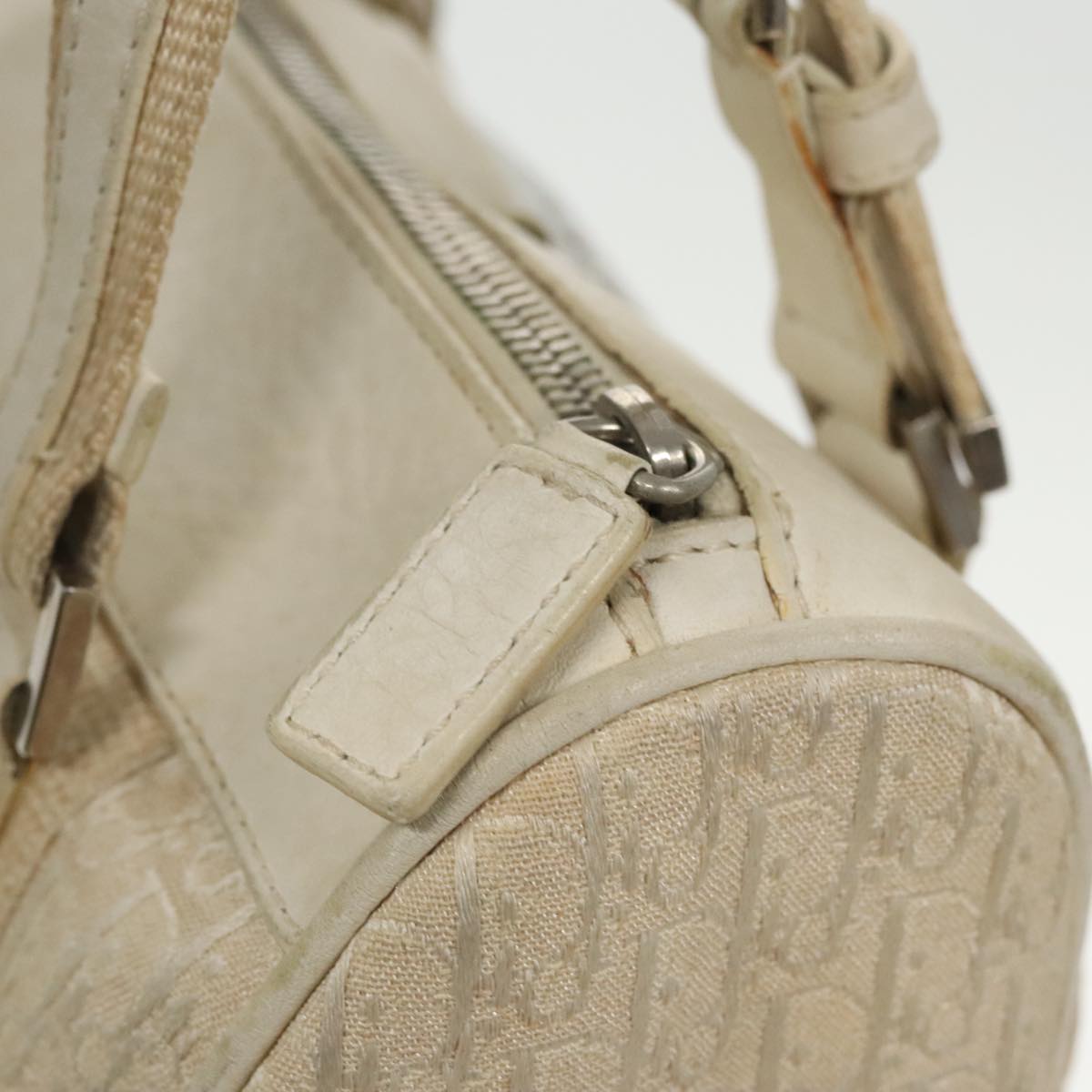 Dior Trotter