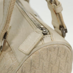 Dior Trotter
