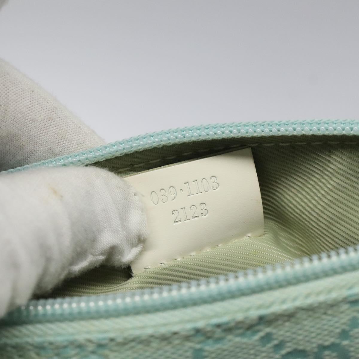 Gucci GG canvas