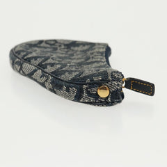 Dior Saddle