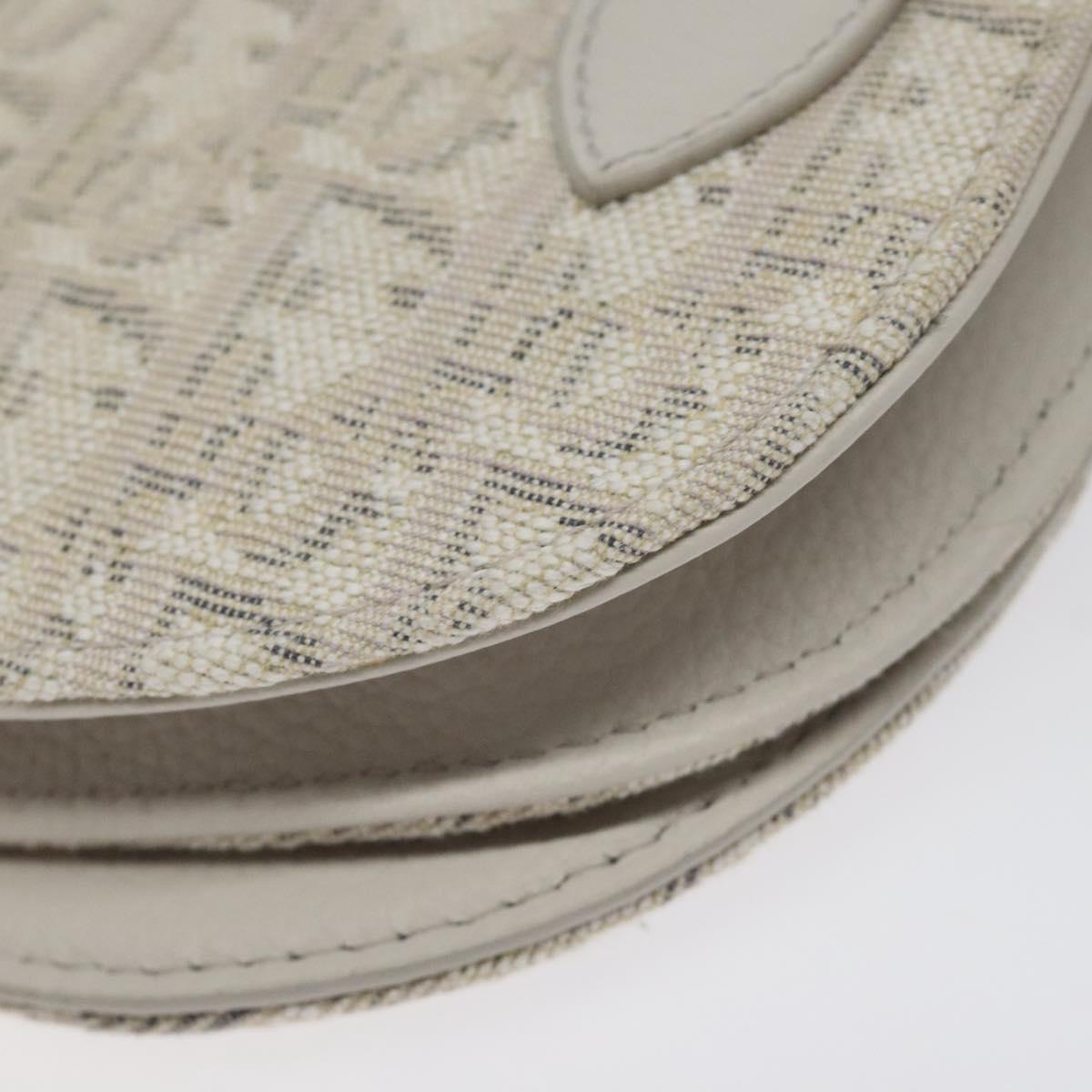 Dior Saddle Dior Oblique