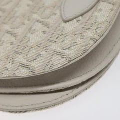 Dior Saddle Dior Oblique