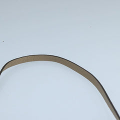Louis Vuitton Pochette Accessoire