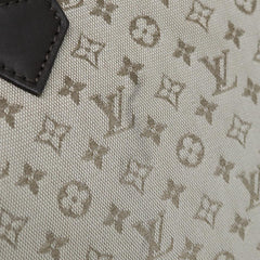 Louis Vuitton Alma long
