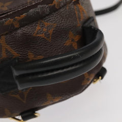 Louis Vuitton Palm Springs mini