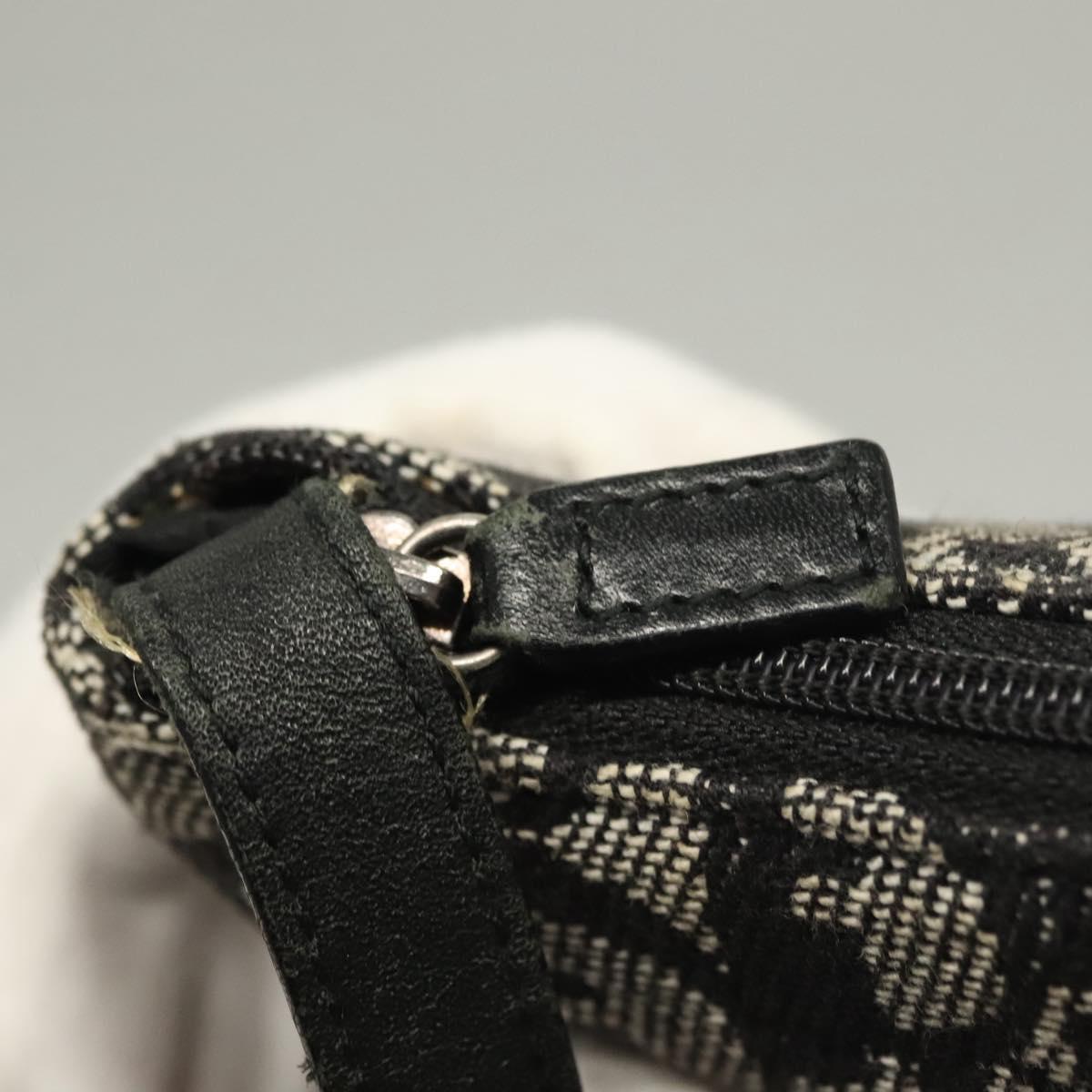Dior Saddle
