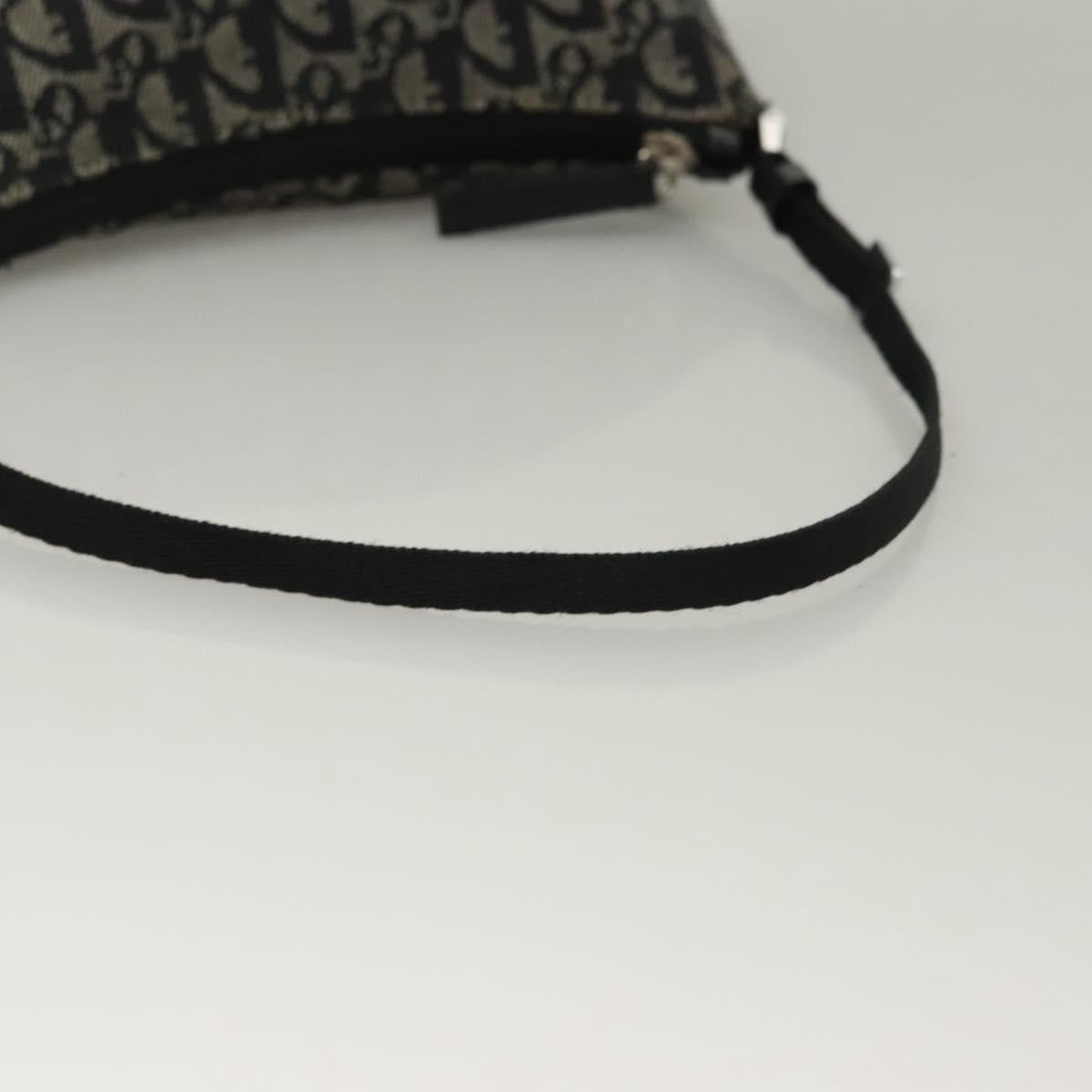 Dior Trotter