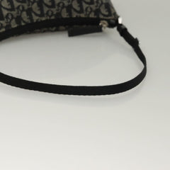 Dior Trotter