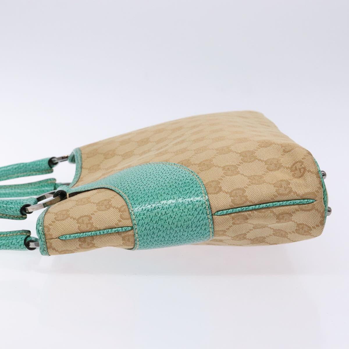 Gucci GG canvas