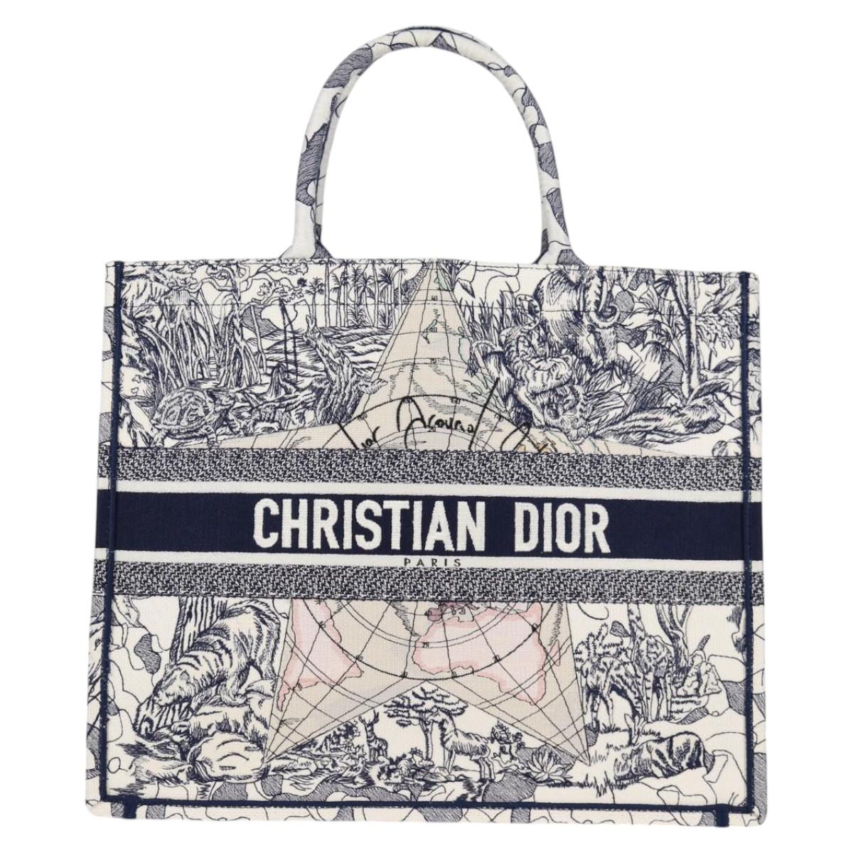 Dior Book Tote