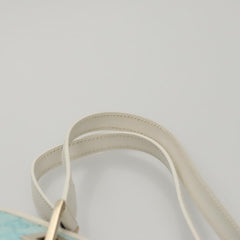 Gucci GG canvas