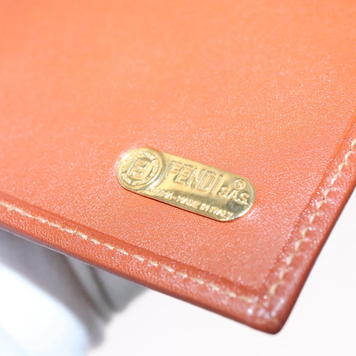 Fendi Pequin