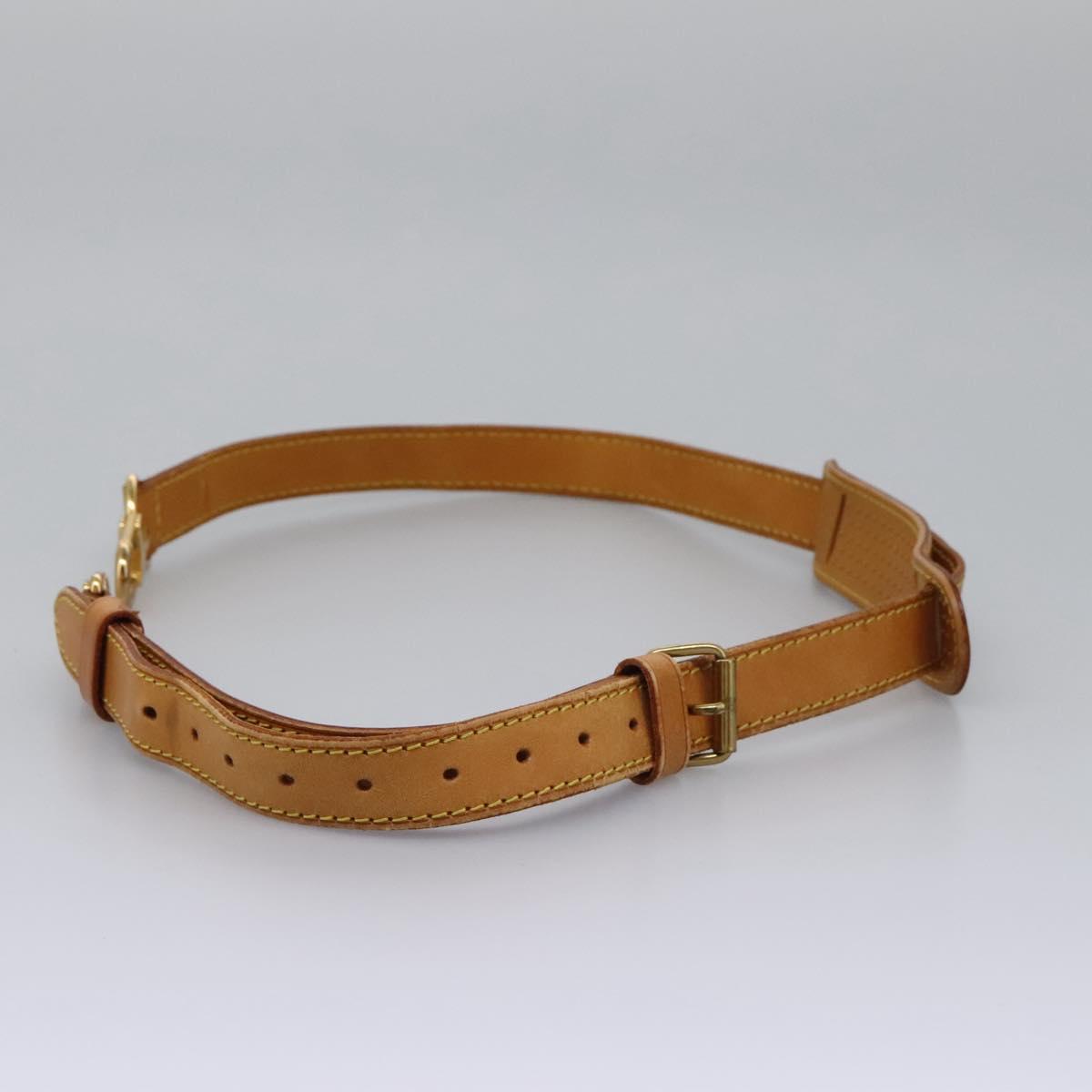 Louis Vuitton Bandoulière de sac