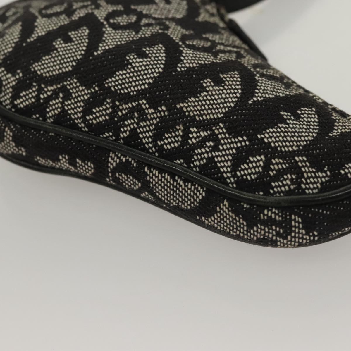 Dior Saddle