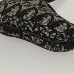 Dior Saddle