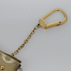 Louis Vuitton Mini Pochette Accessoires