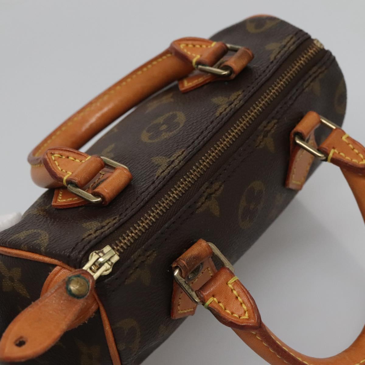 Louis Vuitton Mini speedy