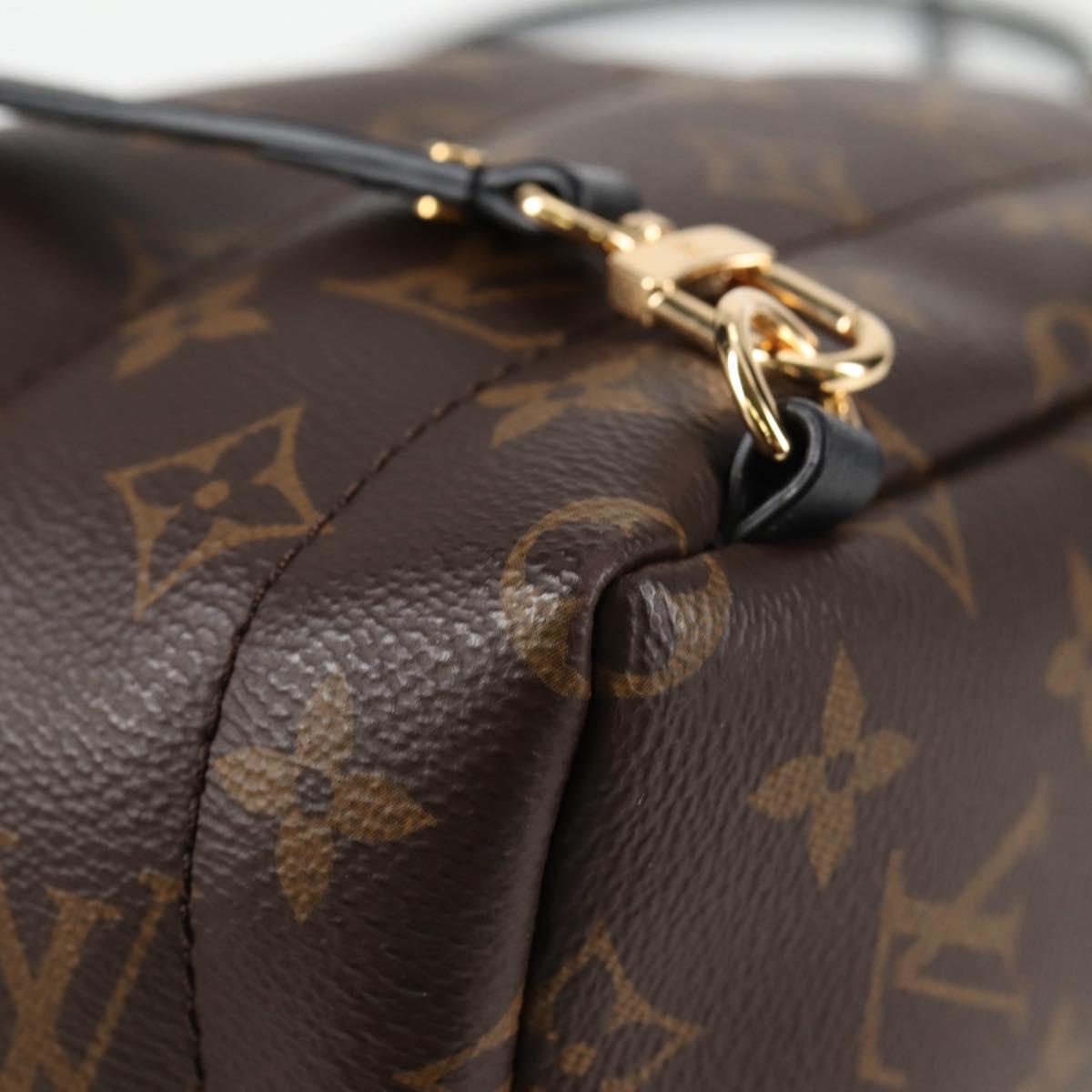 Louis Vuitton Palm Springs mini