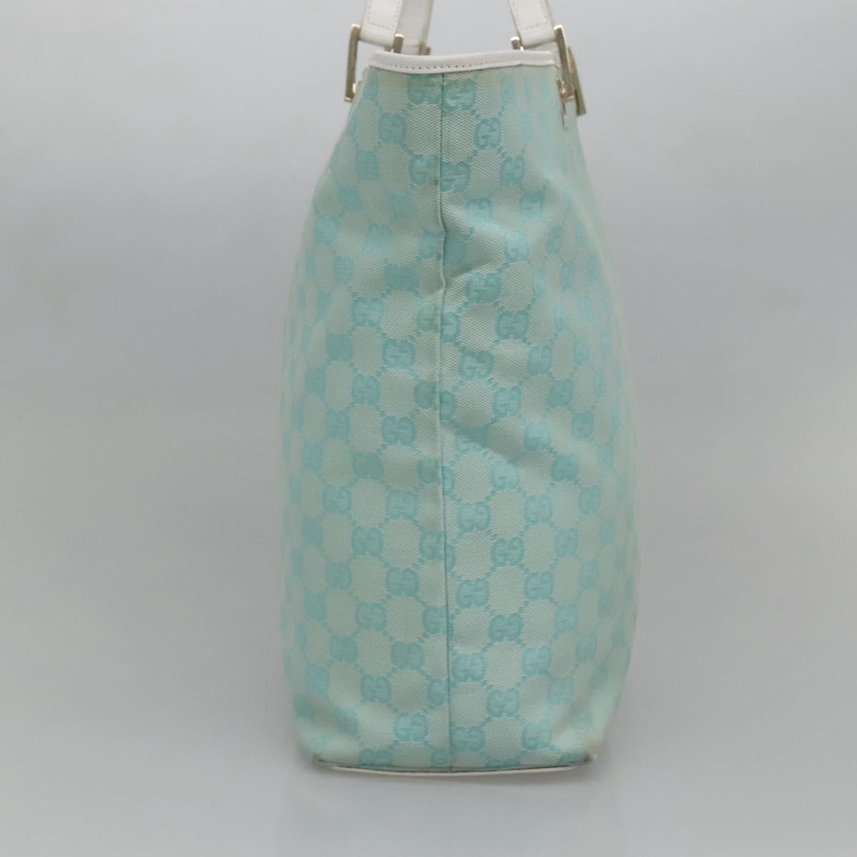 Gucci GG canvas