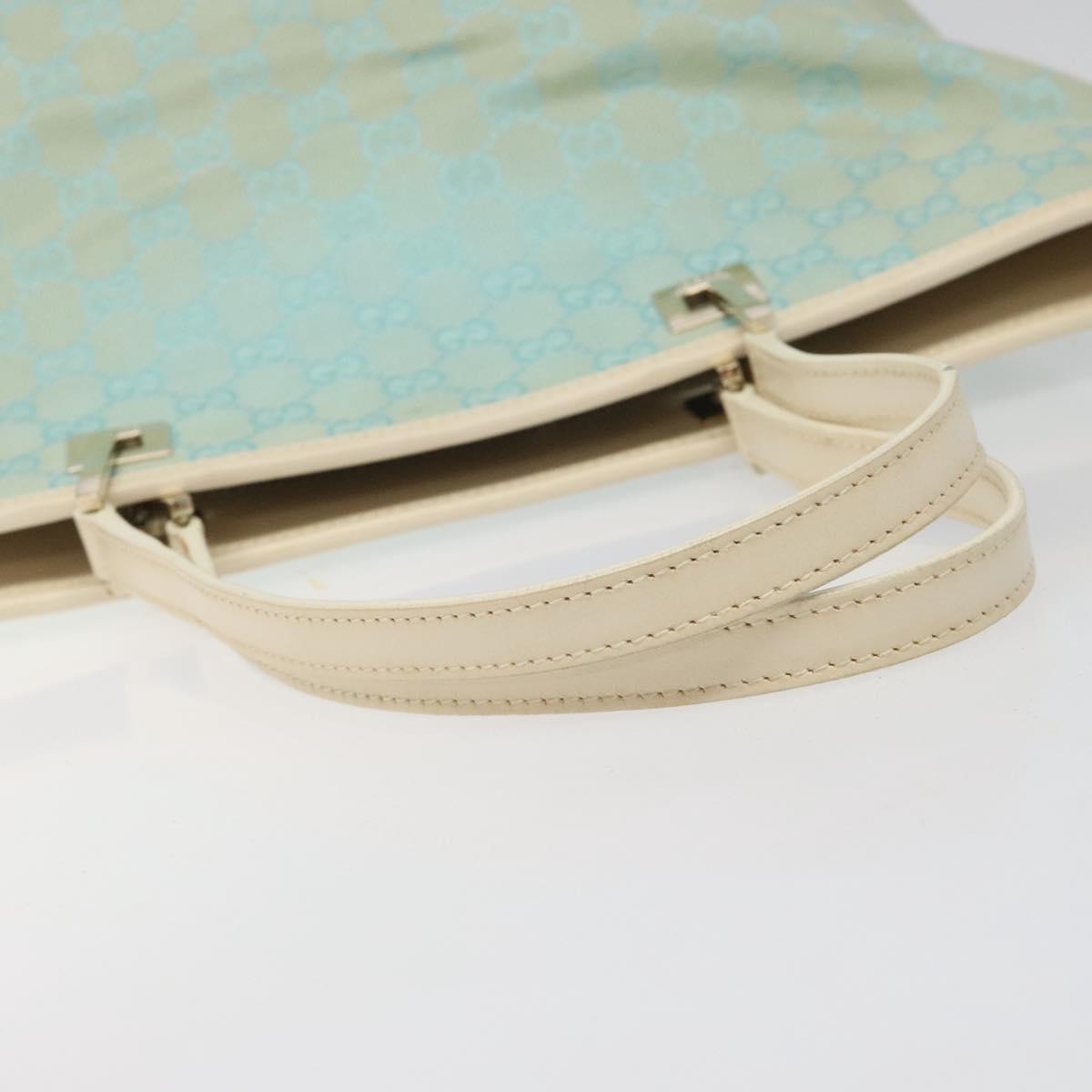 Gucci GG canvas