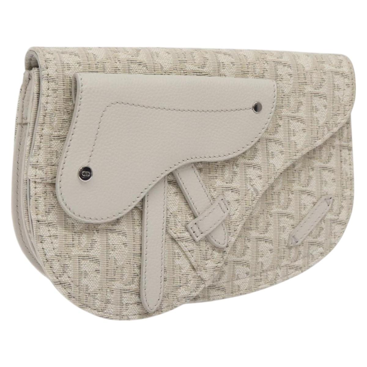 Dior Saddle Dior Oblique