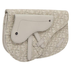 Dior Saddle Dior Oblique