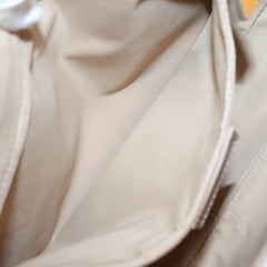 Dior Street Chic Hobo