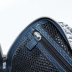 Dior Trotter