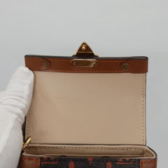 Louis Vuitton Trunk