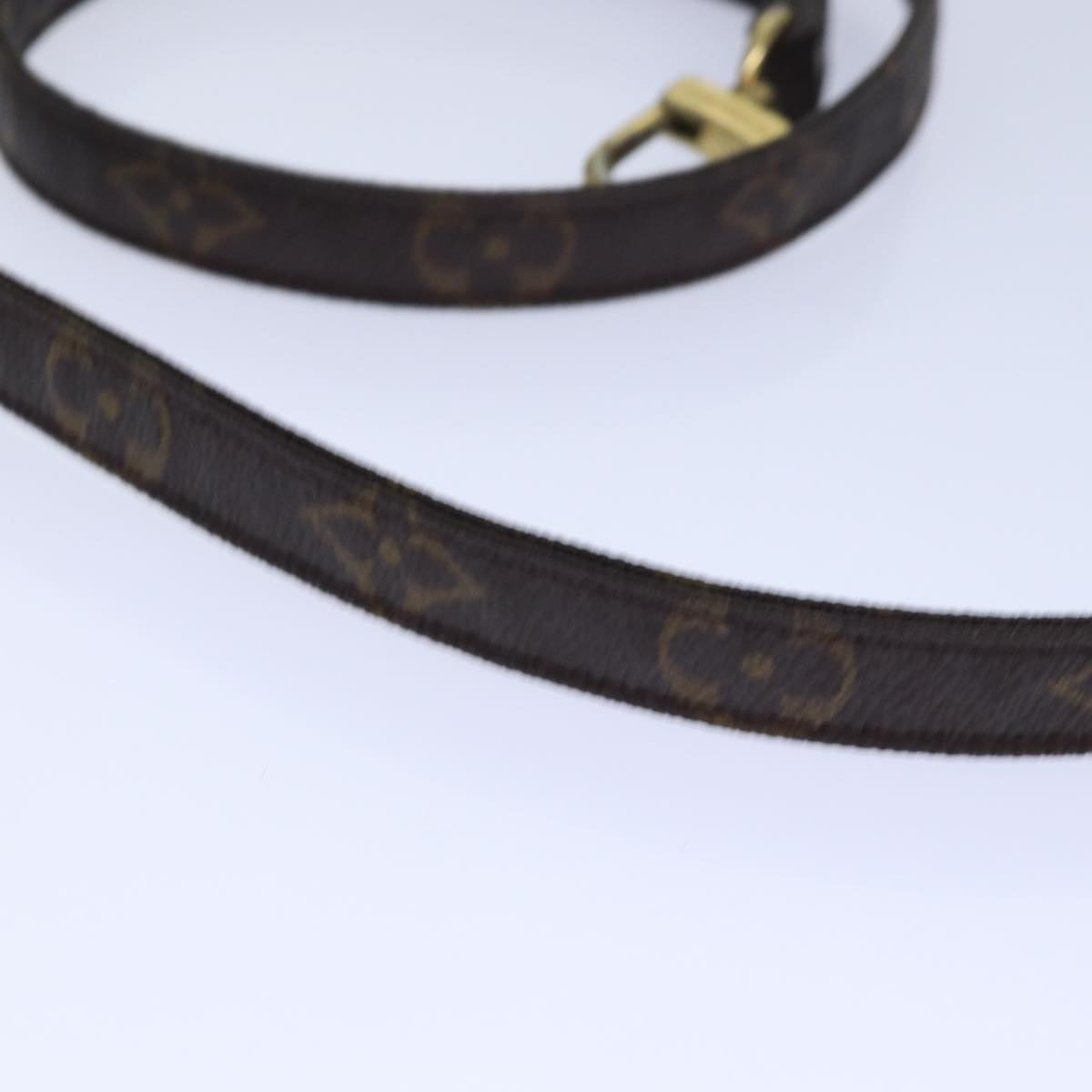 Louis Vuitton Shoulder strap