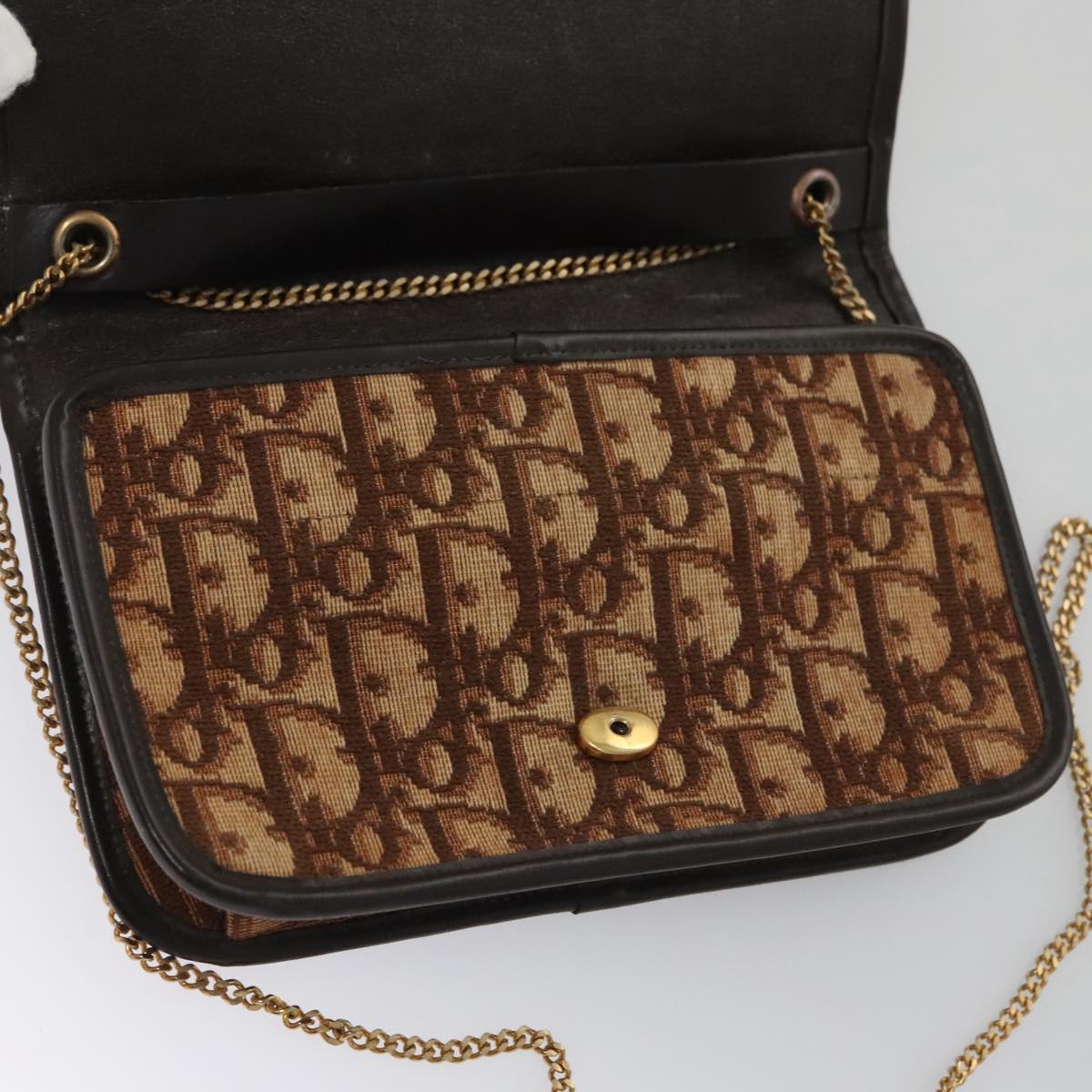 Dior Trotter