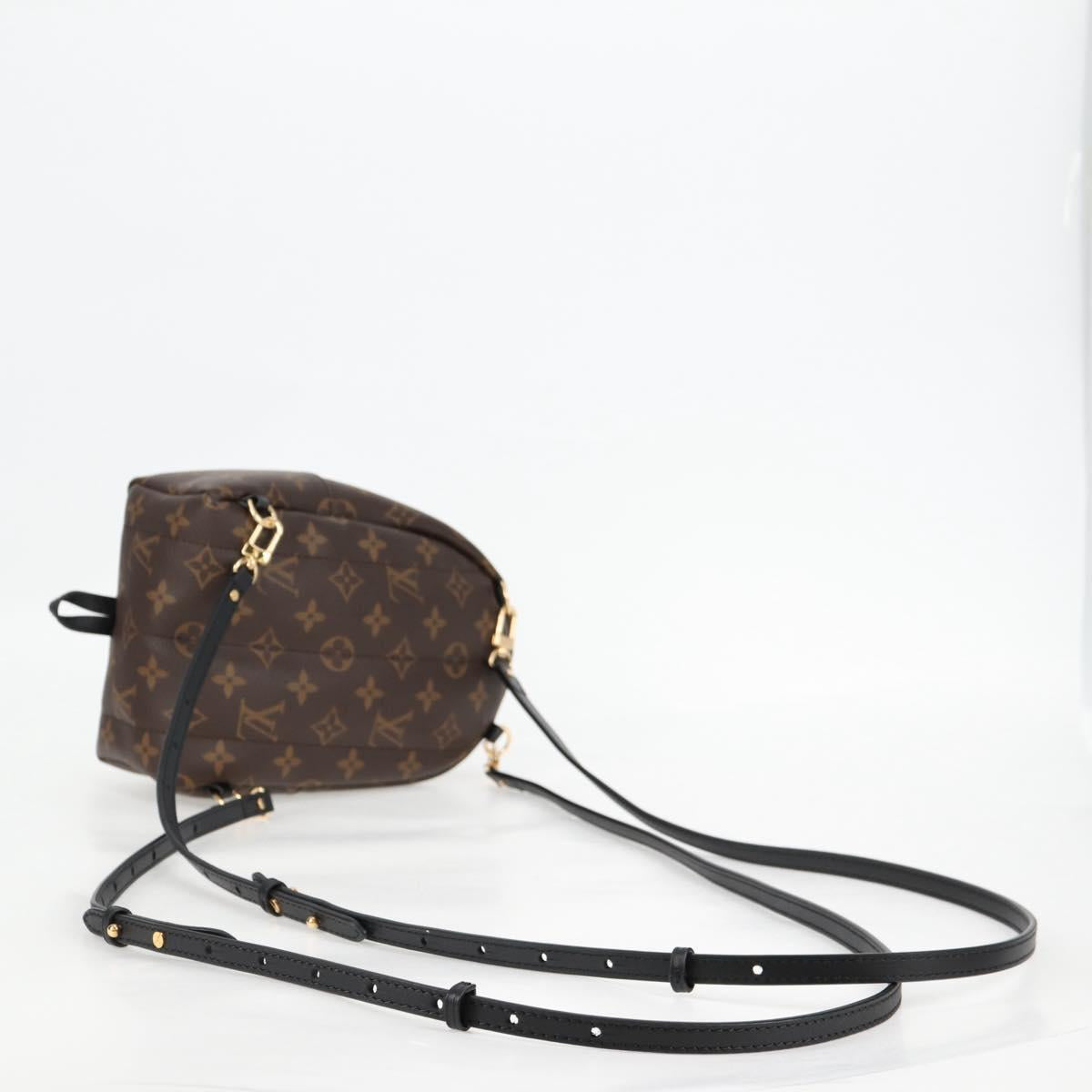 Louis Vuitton Palm Springs mini